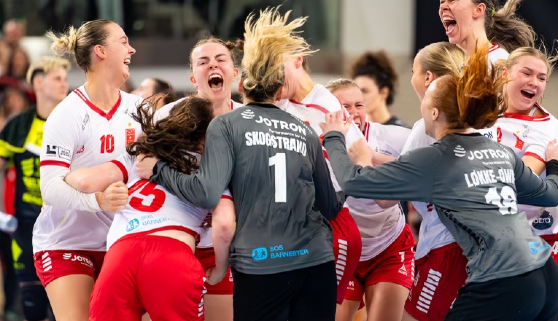 Larvik handballklubb